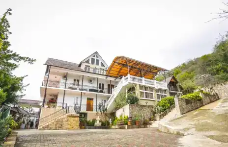 Тимур - 1