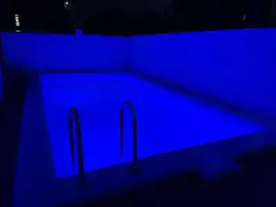 Latte - 26