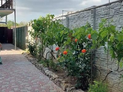 Виктория - 18