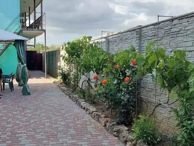 Виктория - 20