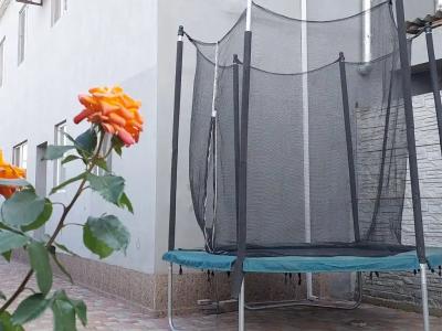 Виктория - 21