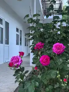 Светлана - 6