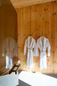 Клевер - 15