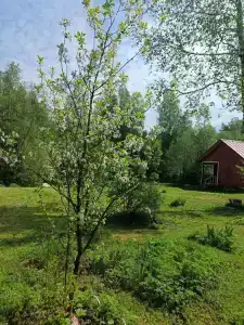 Дом у плотины - 38