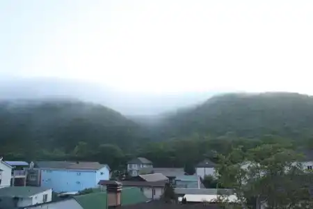 Атриум - 90