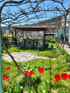 Guest House Green Rose - 1