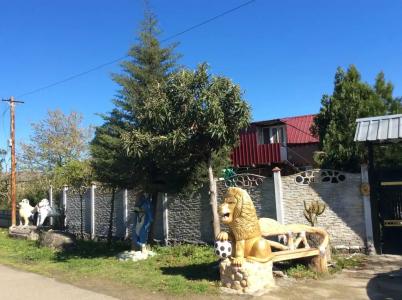 Rezo's Ranch - 2