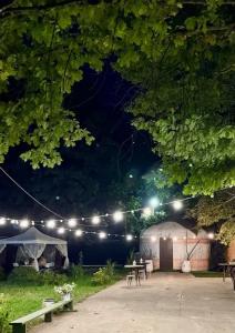 Ethto Adventure Camp - 13