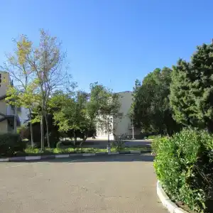 Омега - 1
