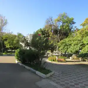 Омега - 3