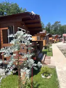 Своя Поляна - 1