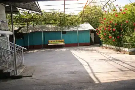 Диана - 12