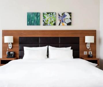 Hilton Garden Inn - 16