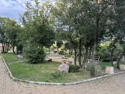 Оазис - 5