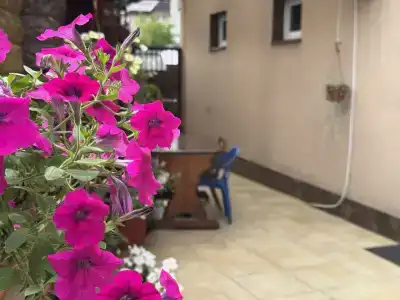 Дева - 9