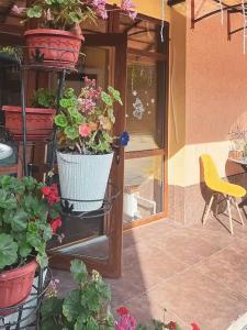 Rosa Home - 6