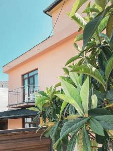 Rosa Home - 10