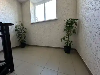 Кипарис - 2
