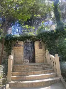 Флорентина - 6