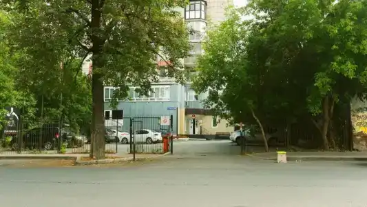 Цветы - 8
