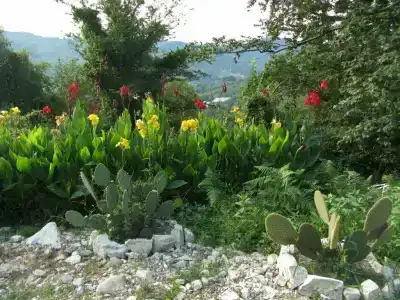 Дача в горах - 4