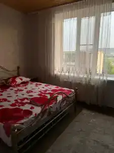 Золотой бриз - 23