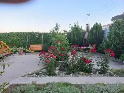 Анастасия - 15