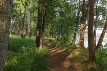 Лосево Парк - 9