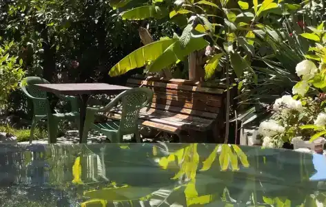 SoFitel-GagrA - 5