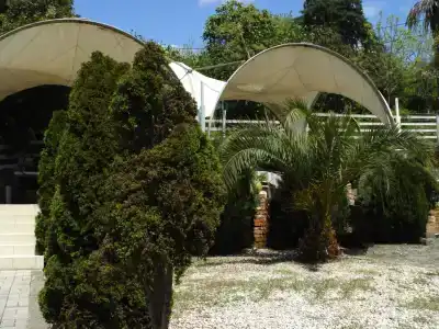 Palm Hotel - 9