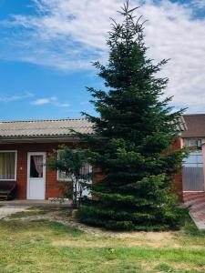 Гостевой дом на Советской 85 - 56