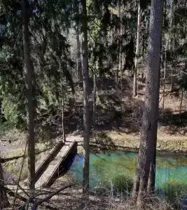 Лайнер - 3