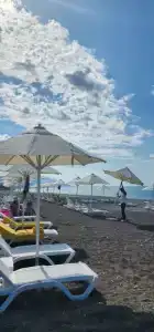 Барбарис - 8