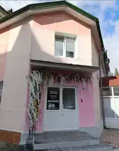 Гуси - 1