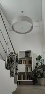Гуси - 2