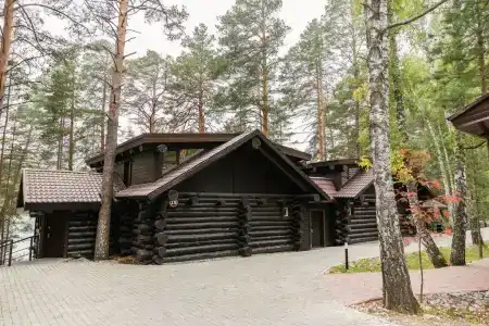 Шишка - 252
