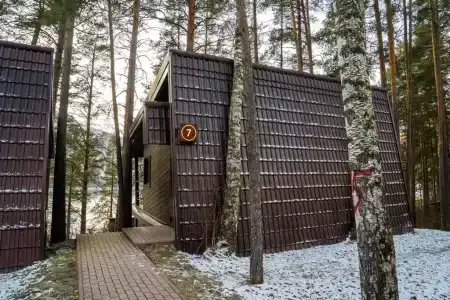 Шишка - 313