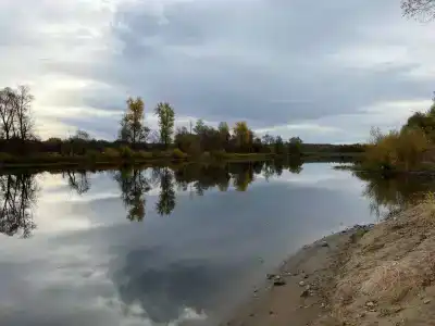 Заячьи ушки - 9