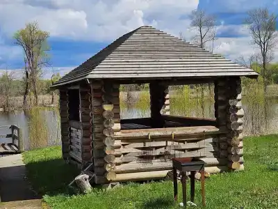 Заячьи ушки - 10