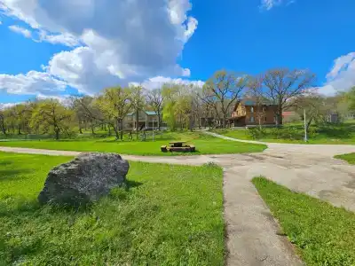 Заячьи ушки - 1