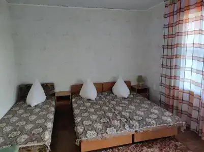 Трудовая - 5