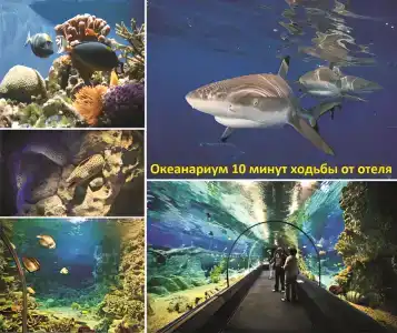 Гуля - 24