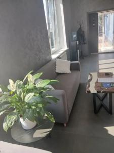 Mira Home - 9