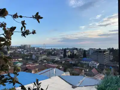 Эклипс - 31
