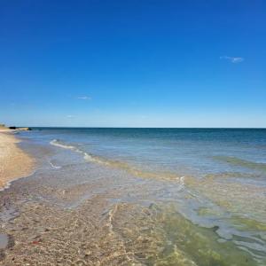 Мореола - 0