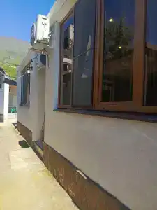 Витас - 1