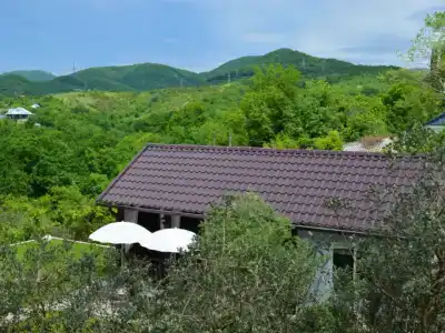 7 Пальм - 7