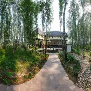 Березовая роща - 2