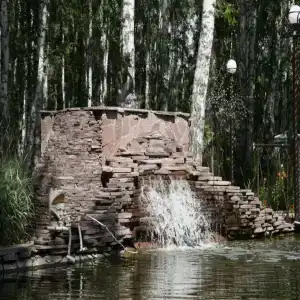 Березовая роща - 3