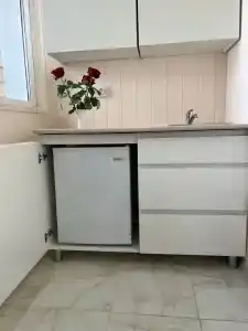 Светлана - 101